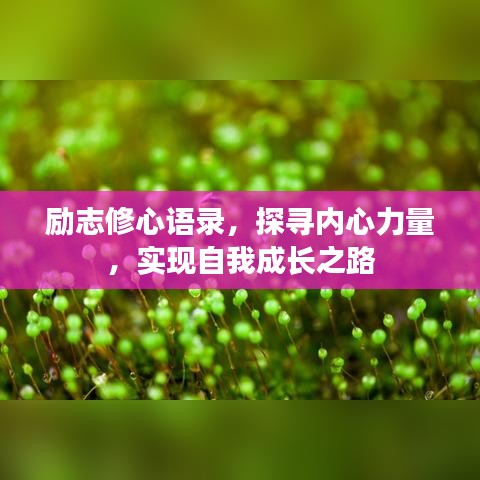 励志修心语录,探寻内心力量,实现自我成长之路