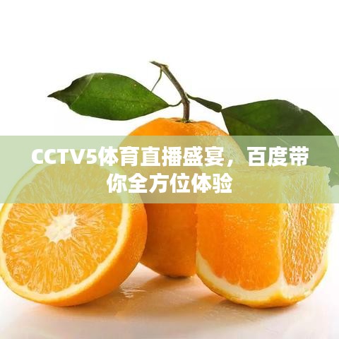 CCTV5体育直播盛宴,百度带你全方位体验