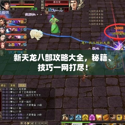 新天龙八部攻略大全,秘籍、技巧一网打尽!