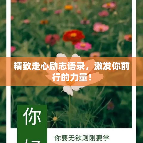 精致走心励志语录,激发你前行的力量!