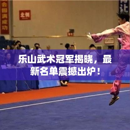 乐山武术冠军揭晓,最新名单震撼出炉!