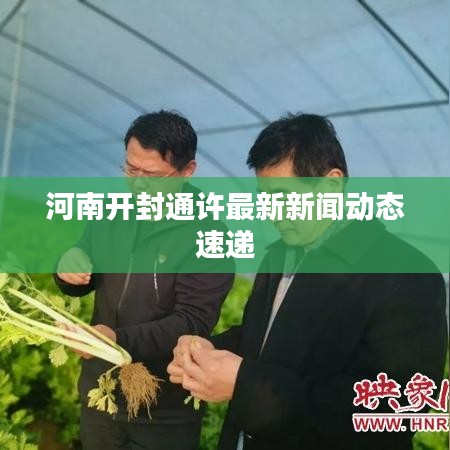 河南开封通许最新新闻动态速递