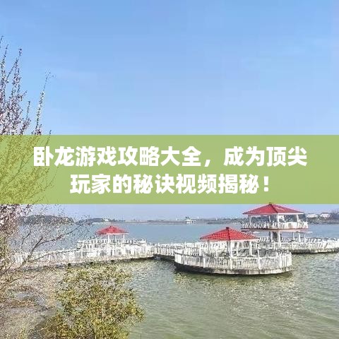 忠心耿耿 第5页