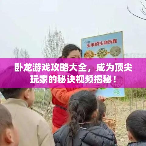 卧龙游戏攻略大全,成为顶尖玩家的秘诀视频揭秘!