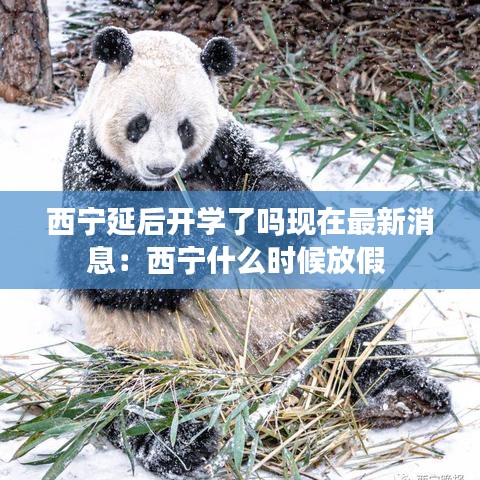 西宁延后开学了吗现在最新消息:西宁什么时候放假