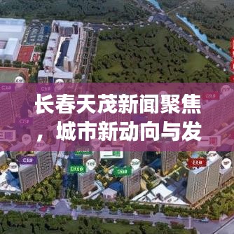 长春天茂新闻聚焦,城市新动向与发展活力大放异彩
