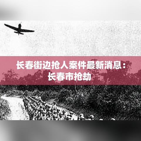 长春街边抢人案件最新消息:长春市抢劫