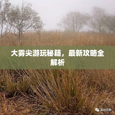 大雾尖游玩秘籍,最新攻略全解析
