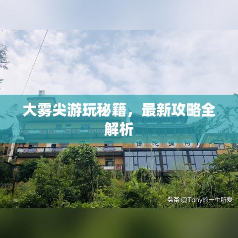 大雾尖游玩秘籍,最新攻略全解析