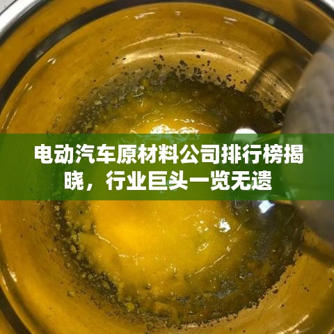 电动汽车原材料公司排行榜揭晓，行业巨头一览无遗
