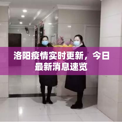 洛阳疫情实时更新,今日最新消息速览
