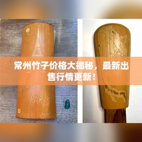 常州竹子价格大揭秘,最新出售行情更新!