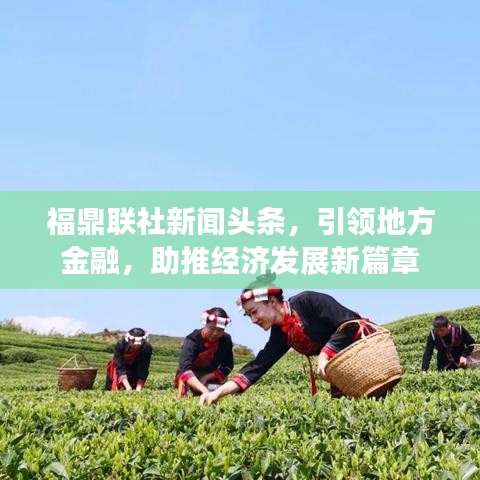 落落大方 第5页