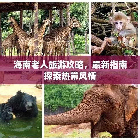 海南老人旅游攻略,最新指南探索热带风情