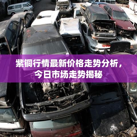 紫铜行情最新价格走势分析,今日市场走势揭秘