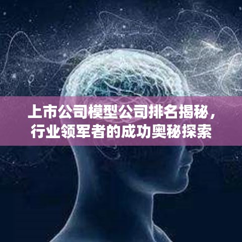 上市公司模型公司排名揭秘，行业领军者的成功奥秘探索