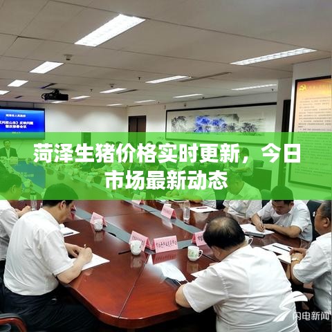 菏泽生猪价格实时更新，今日市场最新动态