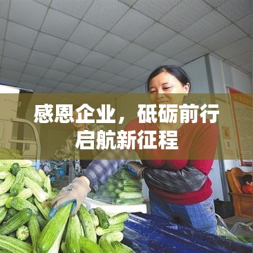 感恩企业,砥砺前行启航新征程