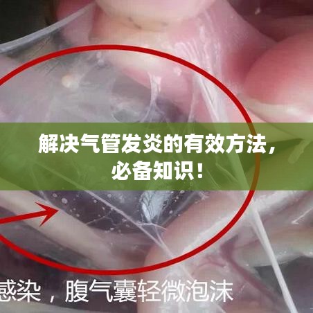 解决气管发炎的有效方法,必备知识!