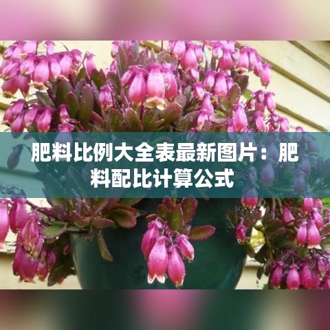 肥料比例大全表最新图片:肥料配比计算公式