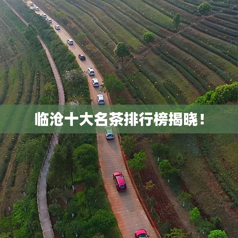 物以希为贵 第5页