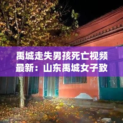 禹城走失男孩死亡视频最新:山东禹城女子致死案