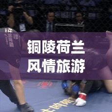 铜陵荷兰风情旅游攻略，畅游荷兰路线揭秘