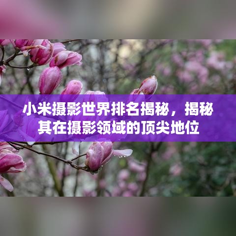小米摄影世界排名揭秘,揭秘其在摄影领域的顶尖地位
