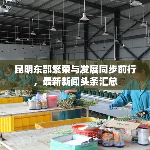 昆明东部繁荣与发展同步前行,最新新闻头条汇总