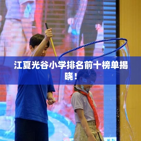 江夏光谷小学排名前十榜单揭晓！