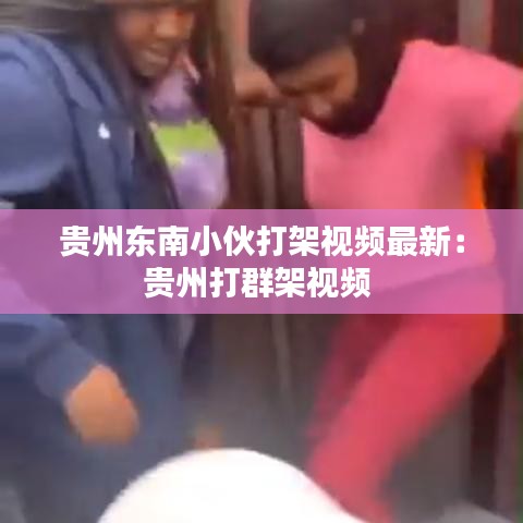 贵州东南小伙打架视频最新:贵州打群架视频