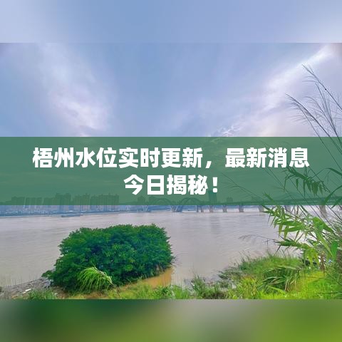 梧州水位实时更新,最新消息今日揭秘!