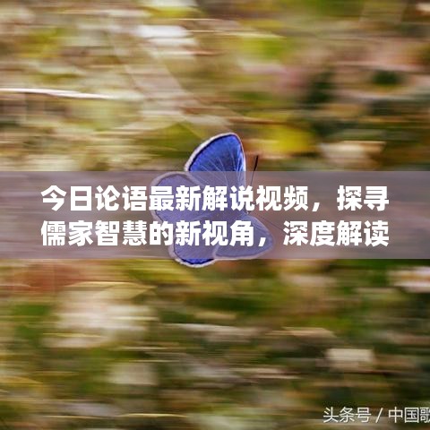 今日论语最新解说视频,探寻儒家智慧的新视角,深度解读经典之道