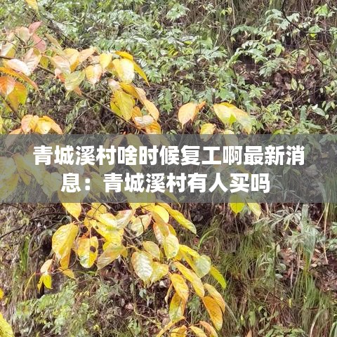 如花似玉 第5页