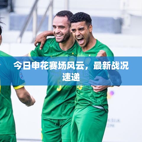 今日申花赛场风云,最新战况速递
