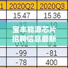 宝丰能源芯片招聘信息最新:宝丰能源公司未来前景如何