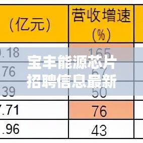 宝丰能源芯片招聘信息最新:宝丰能源公司未来前景如何