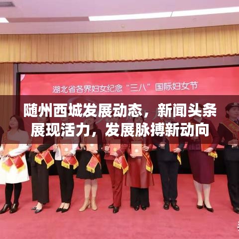 随州西城发展动态,新闻头条展现活力,发展脉搏新动向