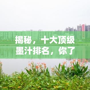 揭秘，十大顶级墨汁排名，你了解多少？