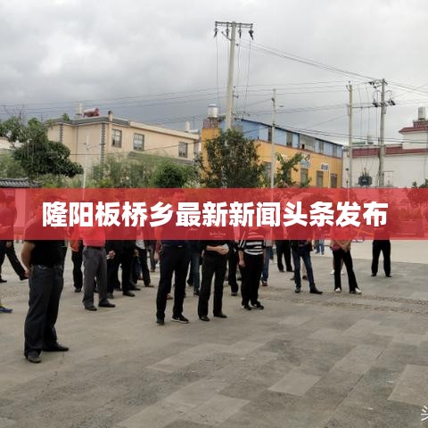 隆阳板桥乡最新新闻头条发布