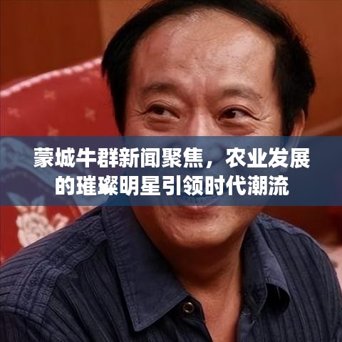 蒙城牛群新闻聚焦,农业发展的璀璨明星引领时代潮流