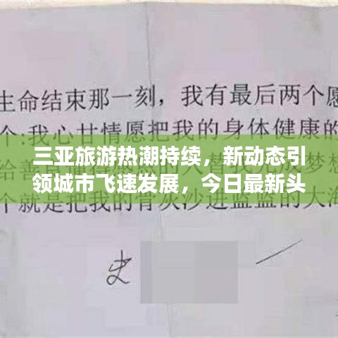 三亚旅游热潮持续,新动态引领城市飞速发展,今日最新头条