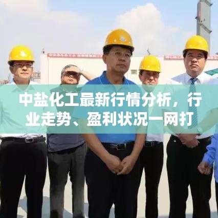 中盐化工最新行情分析，行业走势、盈利状况一网打尽！
