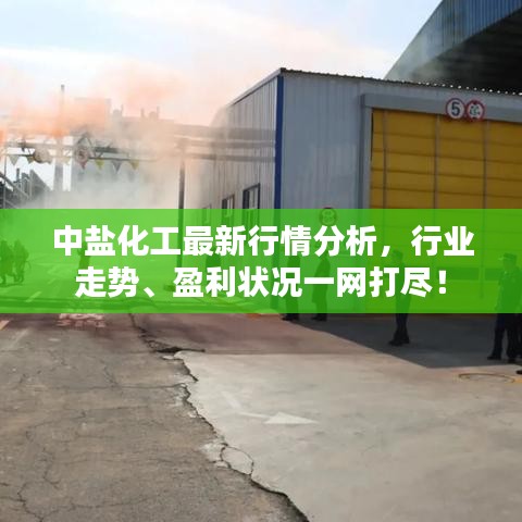 中盐化工最新行情分析,行业走势、盈利状况一网打尽!