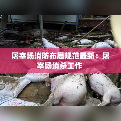 屠宰场消防布局规范最新：屠宰场消杀工作 