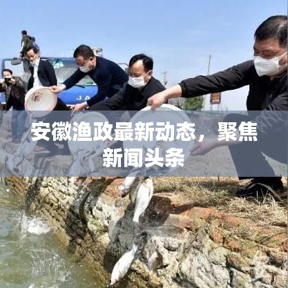 安徽渔政最新动态,聚焦新闻头条