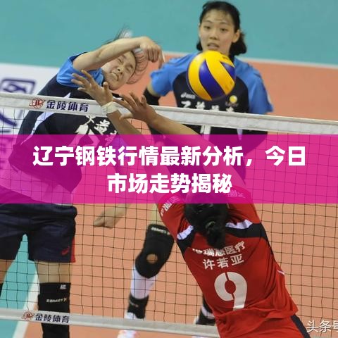 辽宁钢铁行情最新分析,今日市场走势揭秘