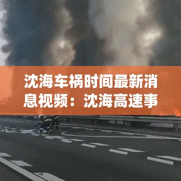沈海车祸时间最新消息视频:沈海高速事故最新进展