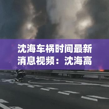 沈海车祸时间最新消息视频:沈海高速事故最新进展
