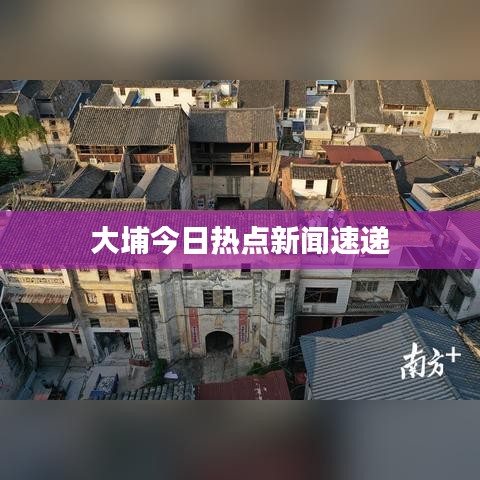 大埔今日热点新闻速递